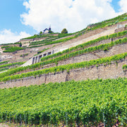 Heida, delizia d’alta quota