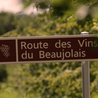 Il Gamay non è solo Beaujolais