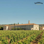 Abadía Retuerta: Storia, Rinascita e Eccellenza della Valle del Duero