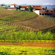 Barbaresco:-il-grande-rosso-delle-Langhe-da-conoscere-(e-assaggiare)