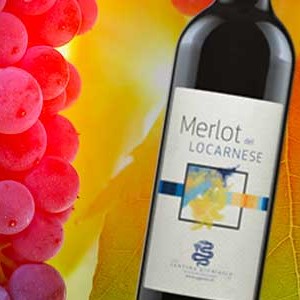 Il Merlot del Locarnese