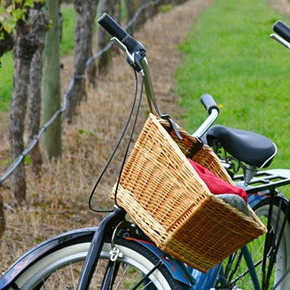 Bike and Wine sul Lago Maggiore: SellWine ti propone un progetto della CANTINA MATASCI