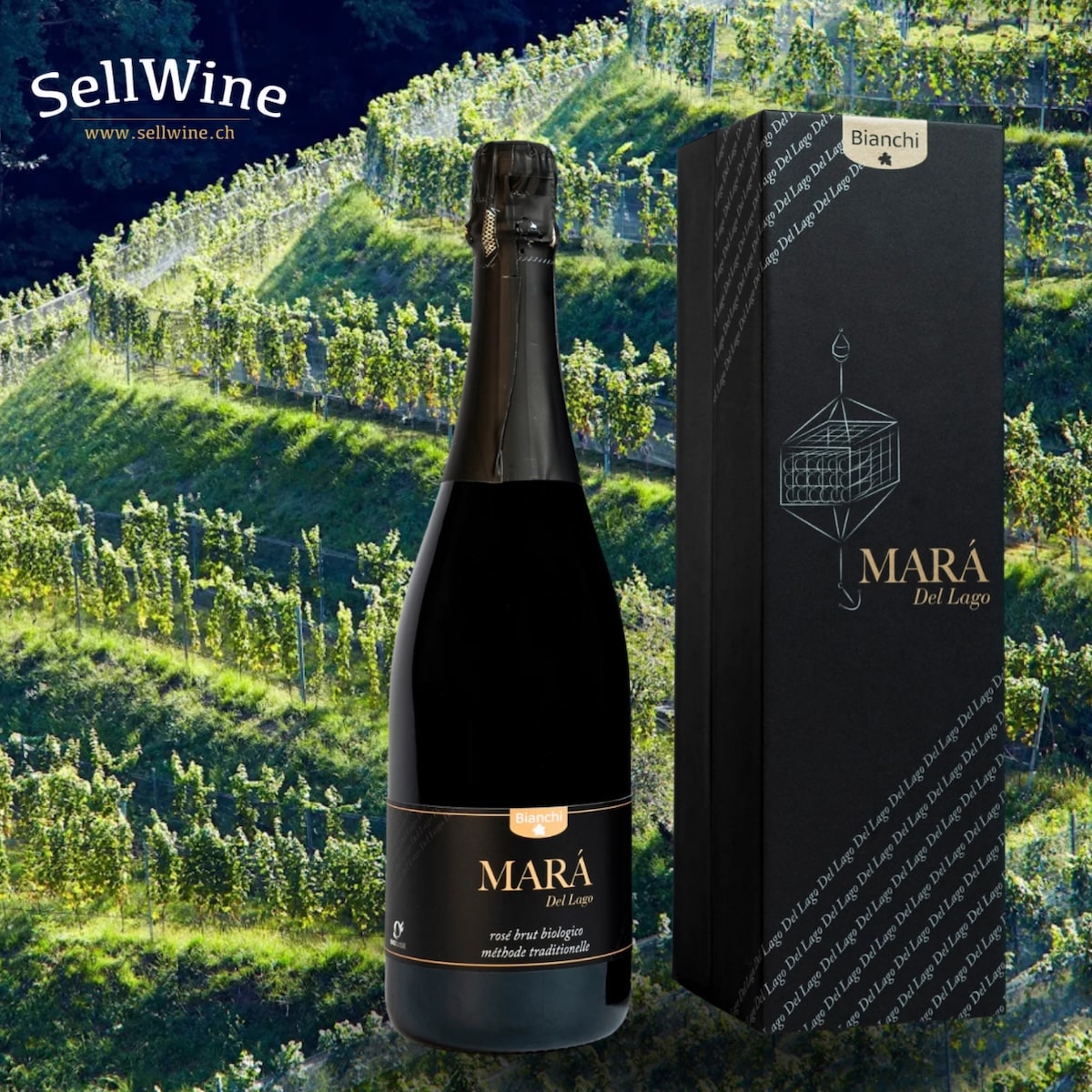 Marà del Lago: Spumante Rosé Bio affinato sott’acqua