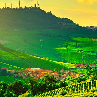 Barolo e Barbaresco di Cantina Tre Donne