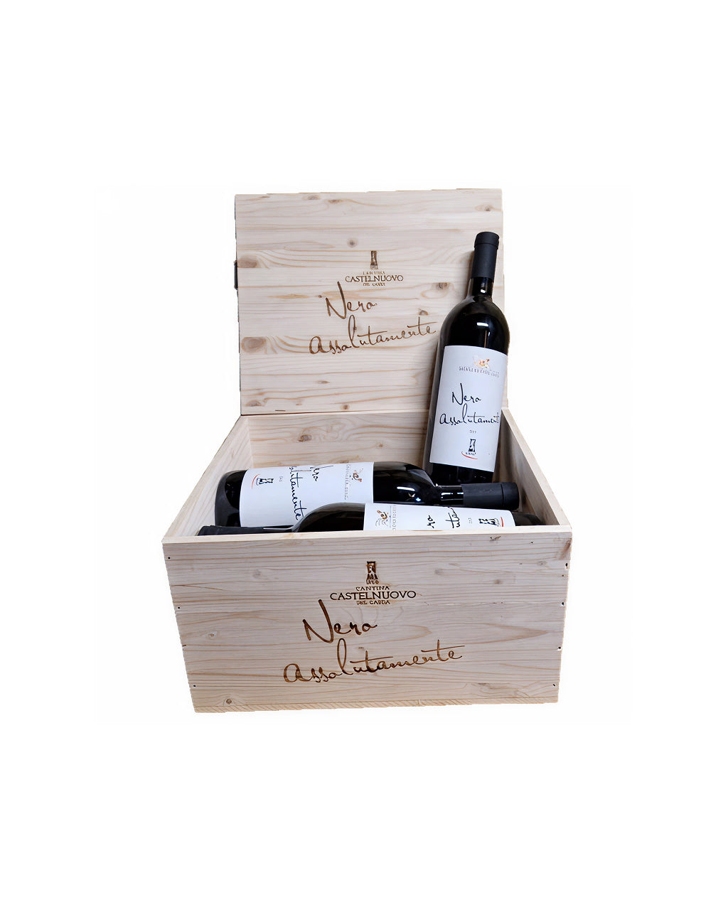 Bosco Del Gal Nero Assolutamente Merlot Veneto IGT 2013 - 2022