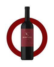 SellWine enoteca online Merlot Ticino DOC Biologico Magnum Castello di Morcote